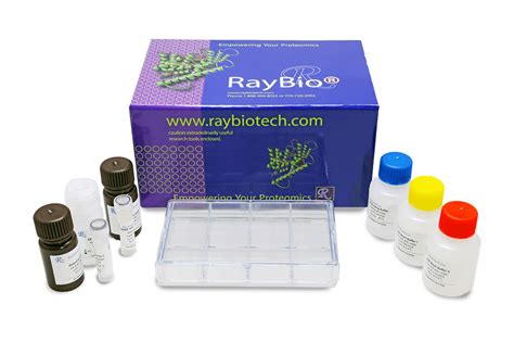 apoptosis assay elisa kit|apoptosis kit ab129816.